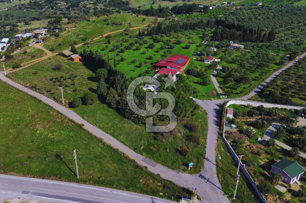 Foça Yeniköy'de Satılık Deniz Manzaralı Tarla