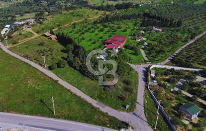 Foça Yeniköy'de Satılık Deniz Manzaralı Tarla