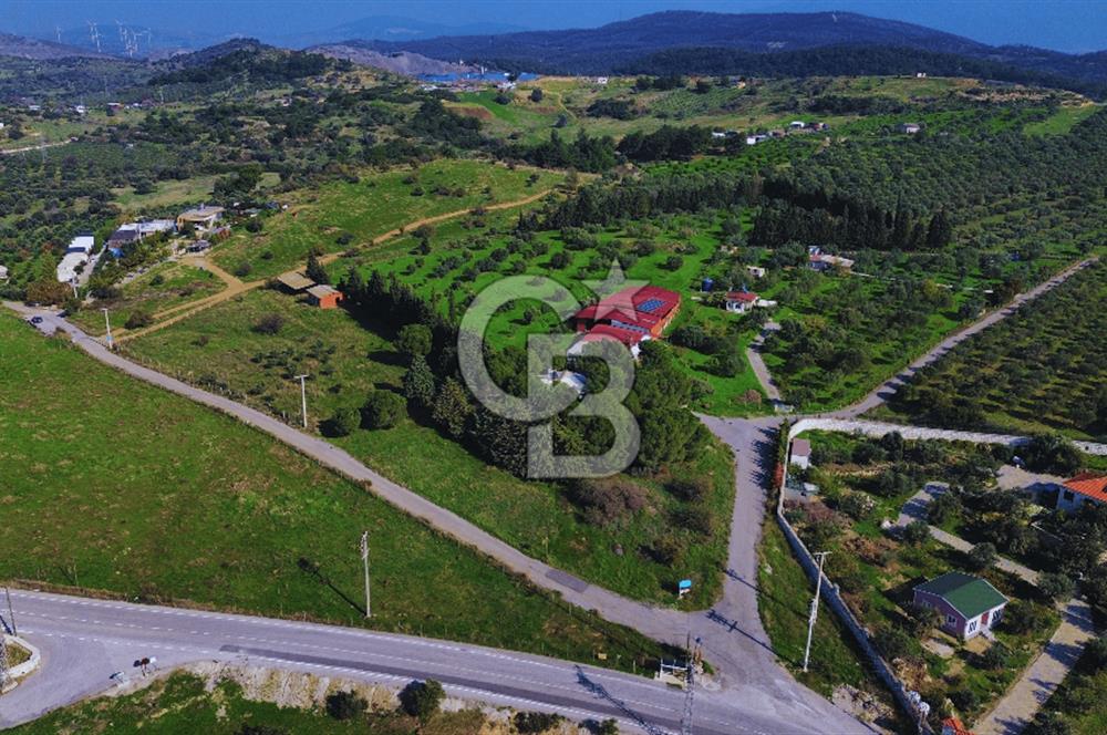 Foça Yeniköy'de Satılık Deniz Manzaralı Tarla