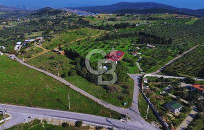 Foça Yeniköy'de Satılık Deniz Manzaralı Tarla