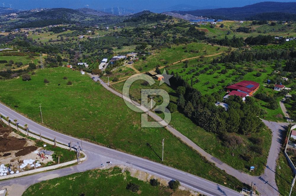 Foça Yeniköy'de Satılık Deniz Manzaralı Tarla