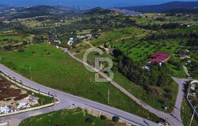 Foça Yeniköy'de Satılık Deniz Manzaralı Tarla