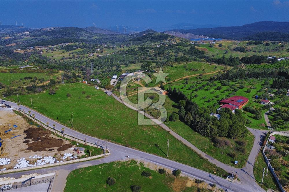 Foça Yeniköy'de Satılık Deniz Manzaralı Tarla