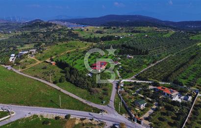 Foça Yeniköy'de Satılık Deniz Manzaralı Tarla