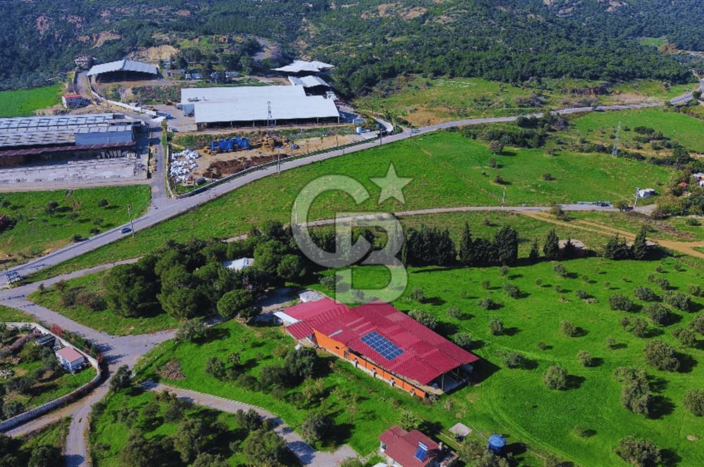 Foça Yeniköy'de Satılık Deniz Manzaralı Tarla