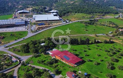 Foça Yeniköy'de Satılık Deniz Manzaralı Tarla