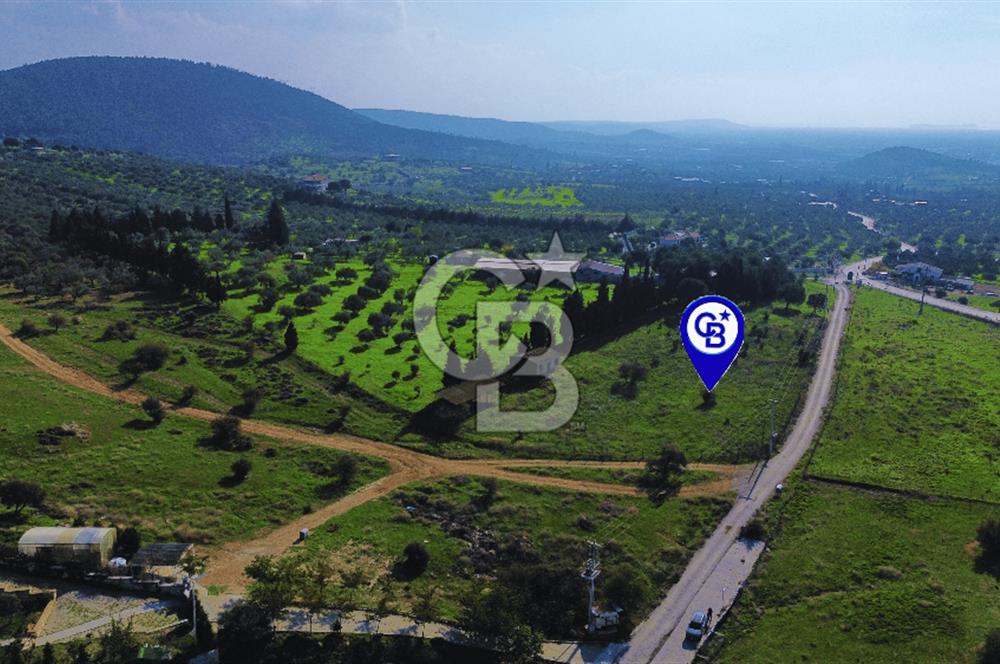 Foça Yeniköy'de Satılık Deniz Manzaralı Tarla