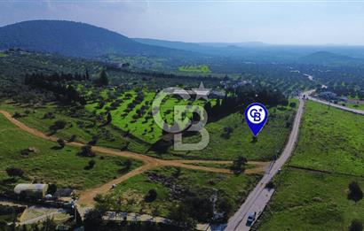 Foça Yeniköy'de Satılık Deniz Manzaralı Tarla