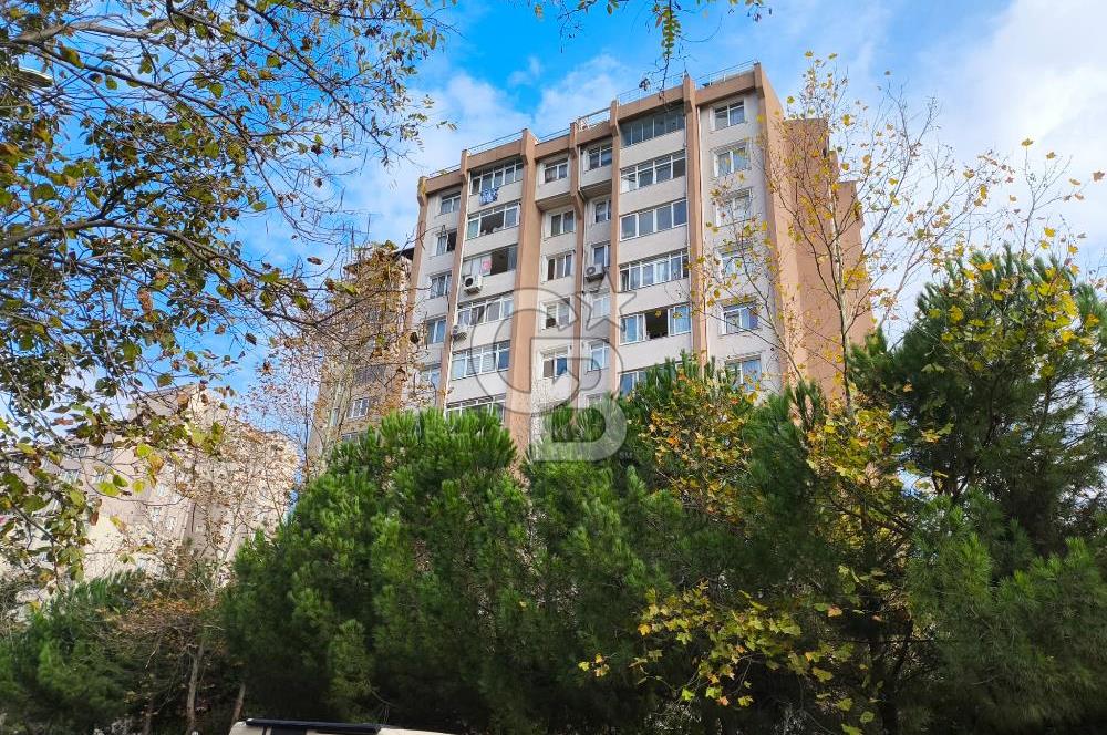 BASIN DOĞA SİTESİNDE GENİŞ TERASLI TADİLATLI 5+1 DUBLEKS DAİRE