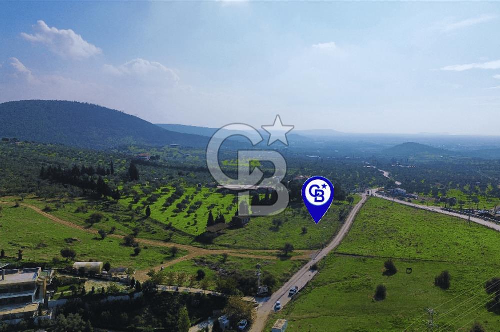 Foça Yeniköy'de Satılık Deniz Manzaralı Tarla