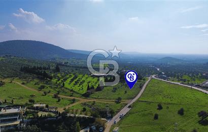 Foça Yeniköy'de Satılık Deniz Manzaralı Tarla