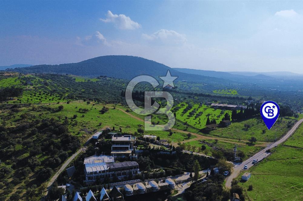 Foça Yeniköy'de Satılık Deniz Manzaralı Tarla