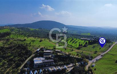 Foça Yeniköy'de Satılık Deniz Manzaralı Tarla