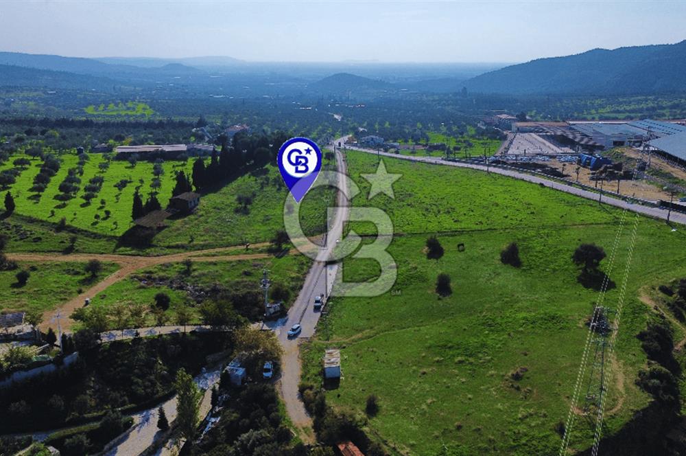 Foça Yeniköy'de Satılık Deniz Manzaralı Tarla