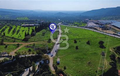 Foça Yeniköy'de Satılık Deniz Manzaralı Tarla