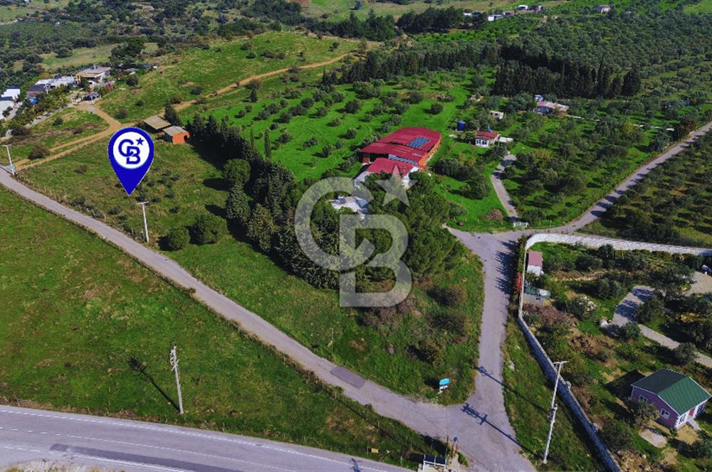 Foça Yeniköy'de Satılık Deniz Manzaralı Tarla