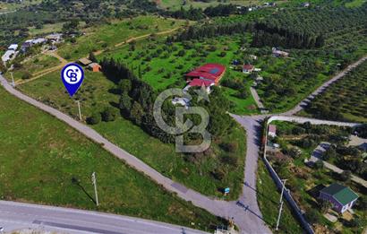 Foça Yeniköy'de Satılık Deniz Manzaralı Tarla