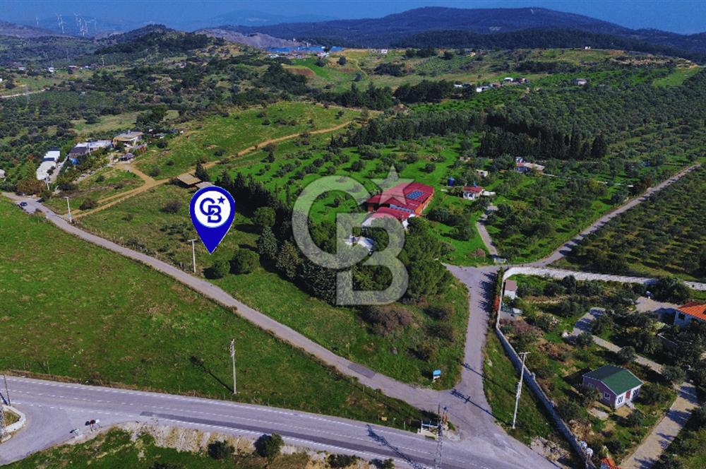 Foça Yeniköy'de Satılık Deniz Manzaralı Tarla