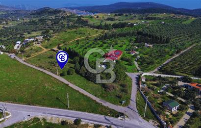 Foça Yeniköy'de Satılık Deniz Manzaralı Tarla