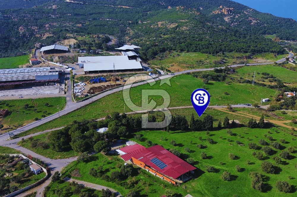 Foça Yeniköy'de Satılık Deniz Manzaralı Tarla