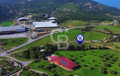 Foça Yeniköy'de Satılık Deniz Manzaralı Tarla