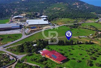 Foça Yeniköy'de Satılık Deniz Manzaralı Tarla - 1 - 313274