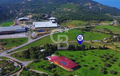 Foça Yeniköy'de Satılık Deniz Manzaralı Tarla