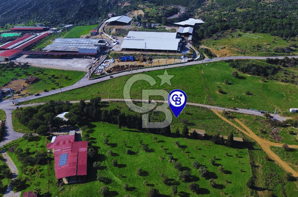 Foça Yeniköy'de Satılık Deniz Manzaralı Tarla