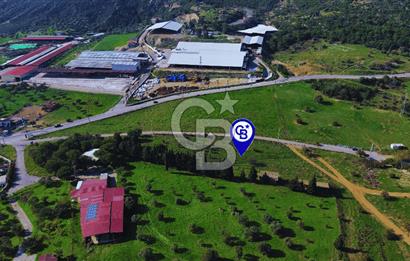 Foça Yeniköy'de Satılık Deniz Manzaralı Tarla