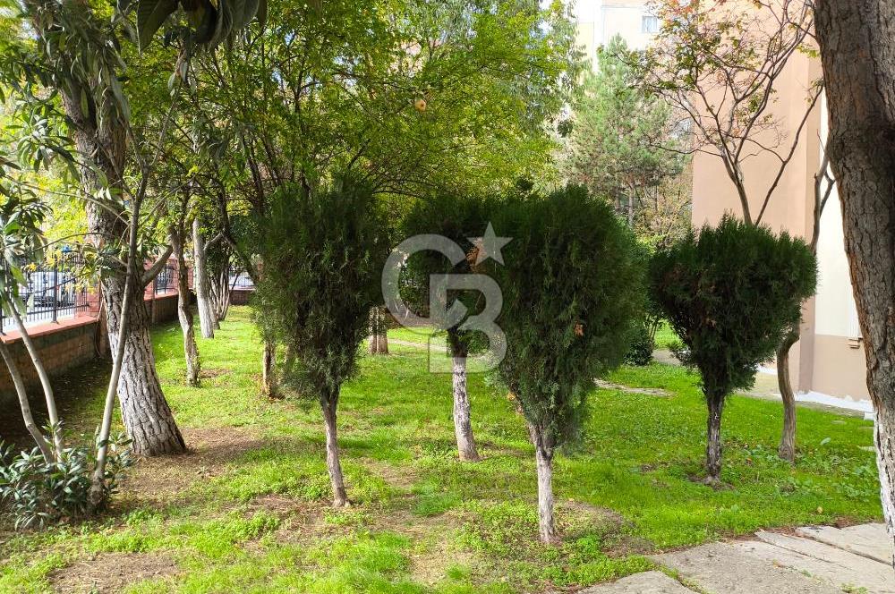 BASIN DOĞA SİTESİNDE GENİŞ TERASLI TADİLATLI 5+1 DUBLEKS DAİRE