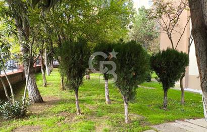 BASIN DOĞA SİTESİNDE GENİŞ TERASLI TADİLATLI 5+1 DUBLEKS DAİRE