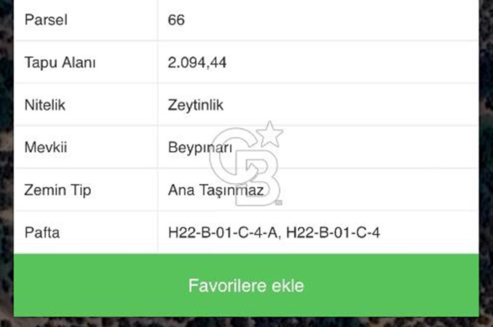 BURSA,ORHANGAZİ ÇELTİKÇİ MH.'NDE UYGUN FİYATLI ZEYTİNLİK