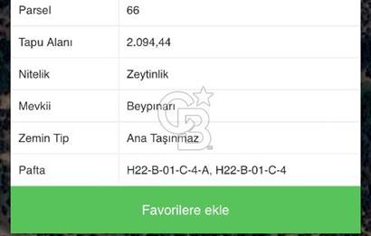 BURSA,ORHANGAZİ ÇELTİKÇİ MH.'NDE UYGUN FİYATLI ZEYTİNLİK