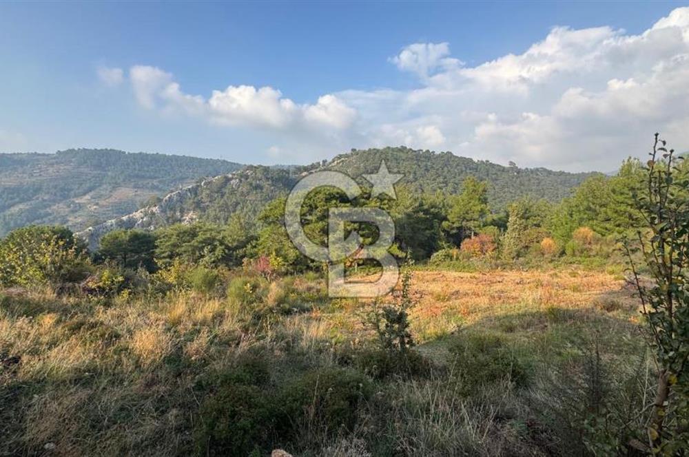 Kavacık’da geniş arazi içerisinde müstakil ev