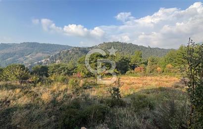 Kavacık’da geniş arazi içerisinde müstakil ev