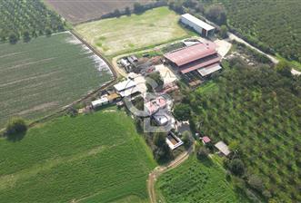 İzmir Tire Anayolu kenarında Satılık 40.000 m² Müştemilatlı Tarla - 1 - 313308