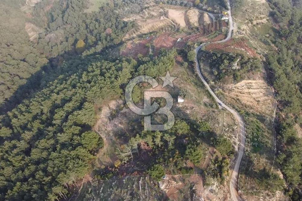 Kavacık’da geniş arazi içerisinde müstakil ev