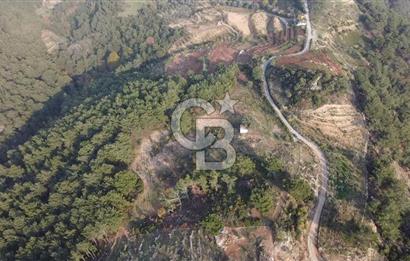 Kavacık’da geniş arazi içerisinde müstakil ev