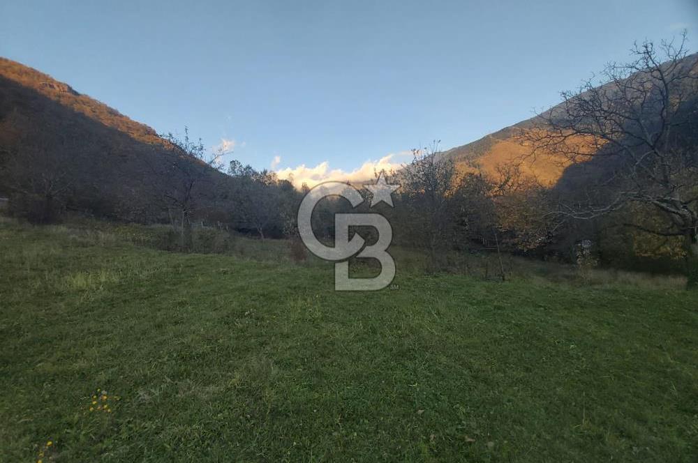 COLDWELL BANKER NET GAYRİMENKUL'DEN ARTVİNDE SATLIK TARLA