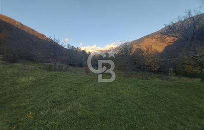 COLDWELL BANKER NET GAYRİMENKUL'DEN ARTVİNDE SATLIK TARLA