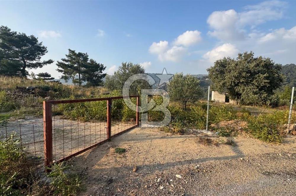 Kavacık’da geniş arazi içerisinde müstakil ev