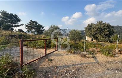 Kavacık’da geniş arazi içerisinde müstakil ev