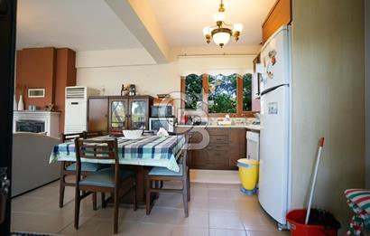 İzmir Tire Anayolu kenarında Satılık 40.000 m² Müştemilatlı Tarla