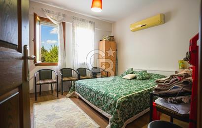 İzmir Tire Anayolu kenarında Satılık 40.000 m² Müştemilatlı Tarla