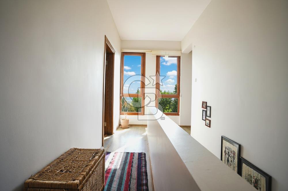 İzmir Tire Anayolu kenarında Satılık 40.000 m² Müştemilatlı Tarla