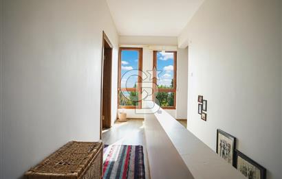 İzmir Tire Anayolu kenarında Satılık 40.000 m² Müştemilatlı Tarla