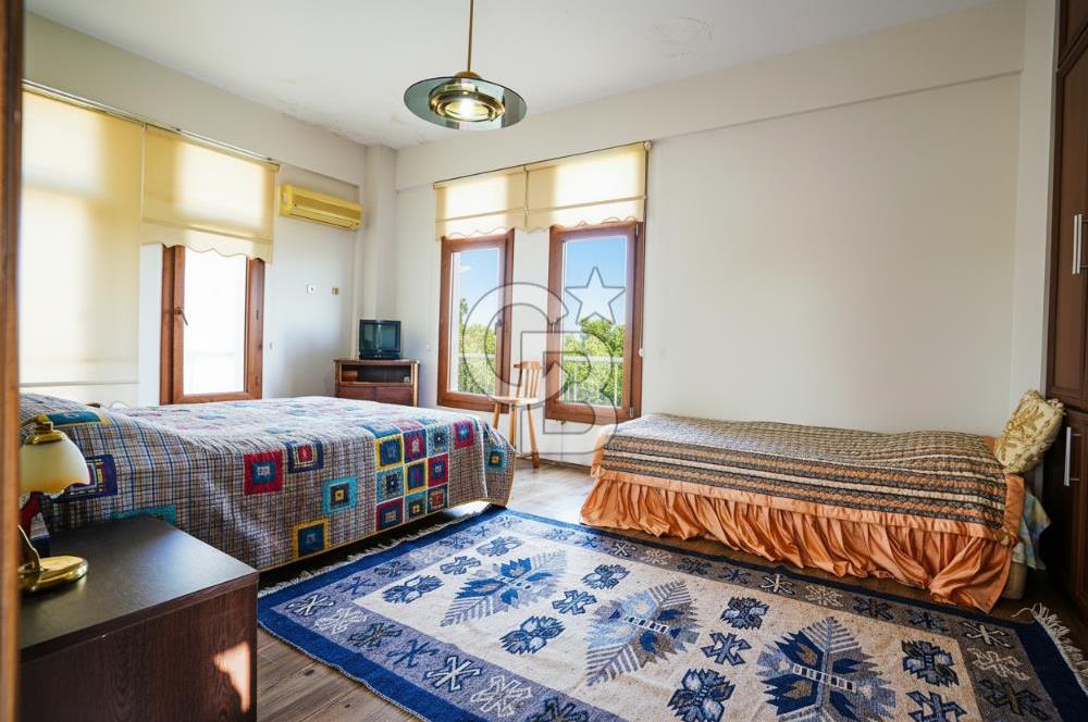 İzmir Tire Anayolu kenarında Satılık 40.000 m² Müştemilatlı Tarla