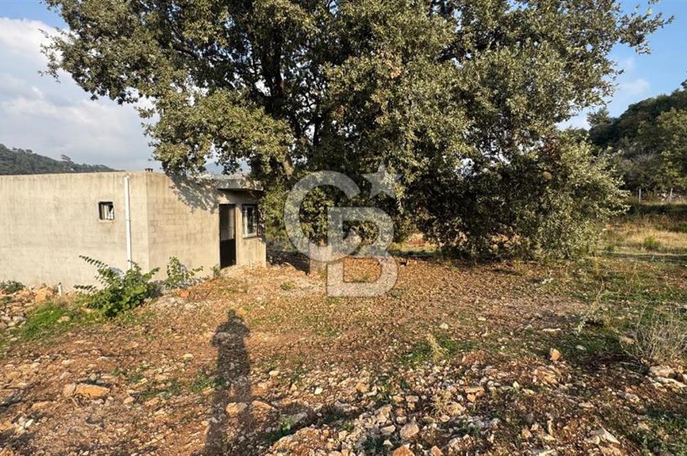 Kavacık’da geniş arazi içerisinde müstakil ev