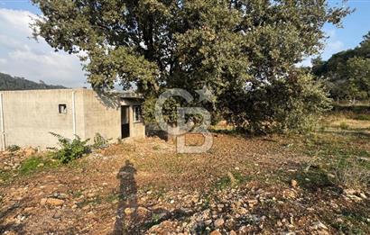 Kavacık’da geniş arazi içerisinde müstakil ev