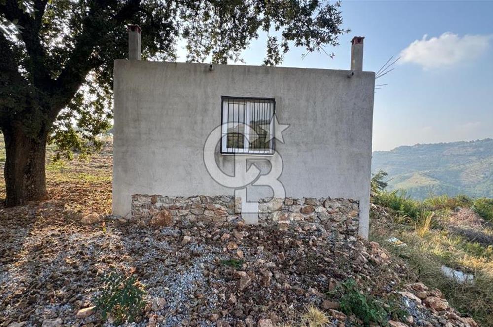 Kavacık’da geniş arazi içerisinde müstakil ev